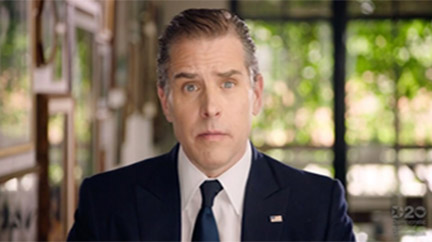 Censor Report on Hunter Biden