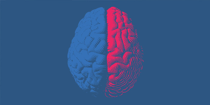 Red and Blue Brain