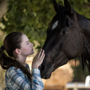 Black Beauty